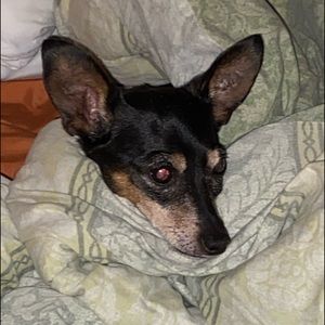 Meet your Posher, Raul